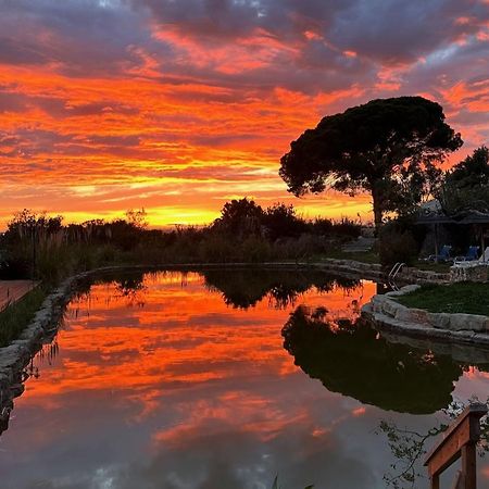 فندق Oasis Camp Portugal لاغوا المظهر الخارجي الصورة