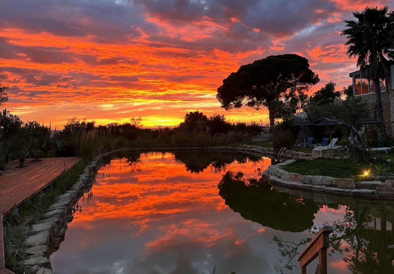 فندق Oasis Camp Portugal لاغوا المظهر الخارجي الصورة