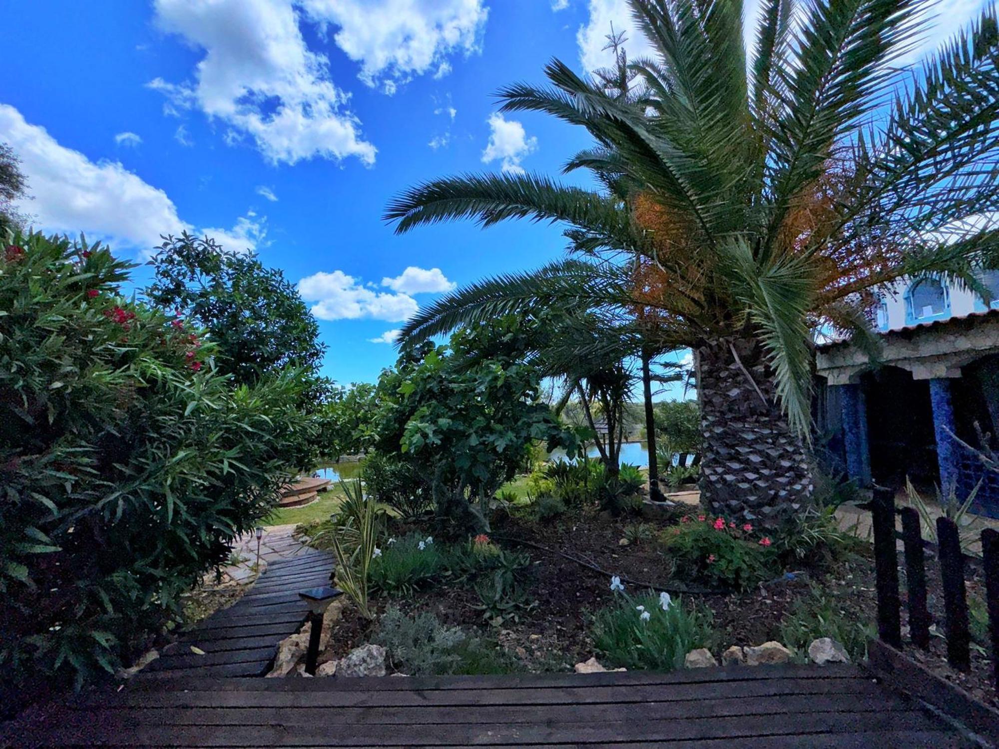 فندق Oasis Camp Portugal لاغوا المظهر الخارجي الصورة